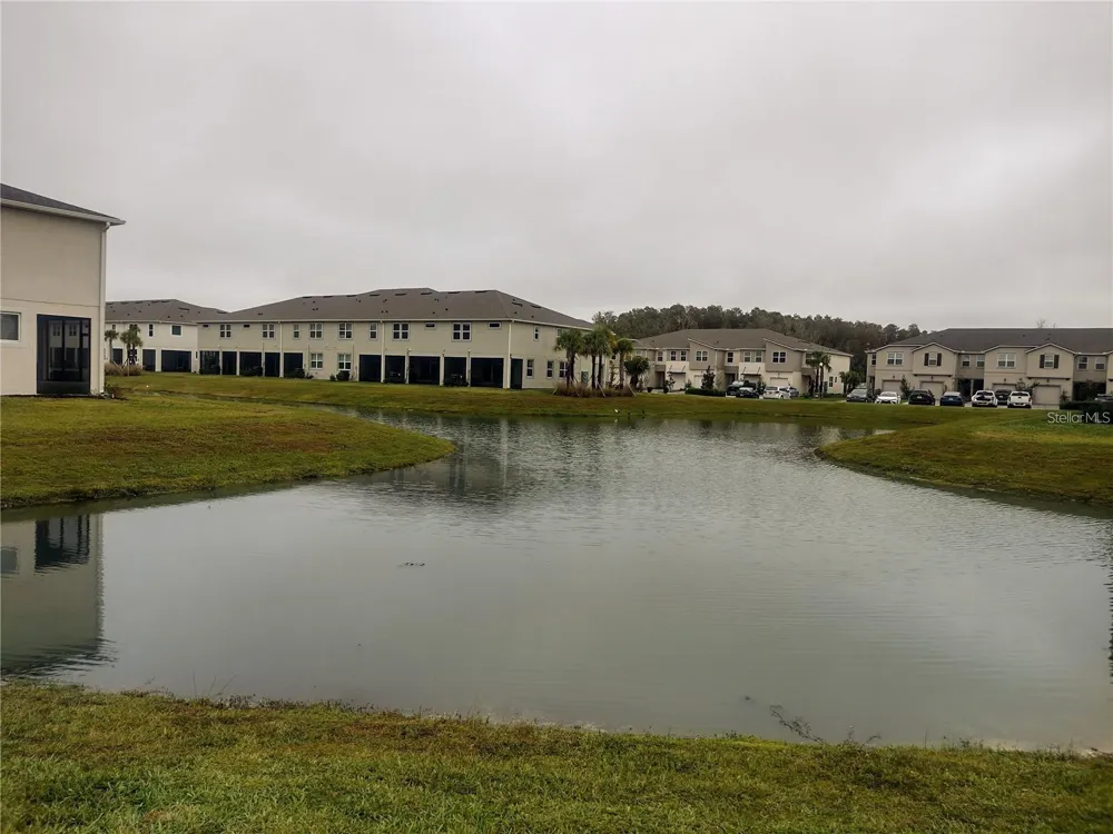 26010 WOVEN WICKER BEND Lutz, FL 33559
