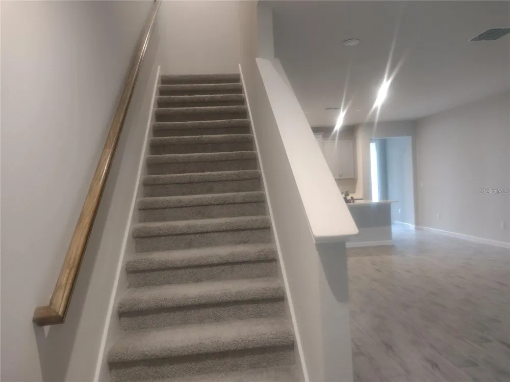 26010 WOVEN WICKER BEND Lutz, FL 33559