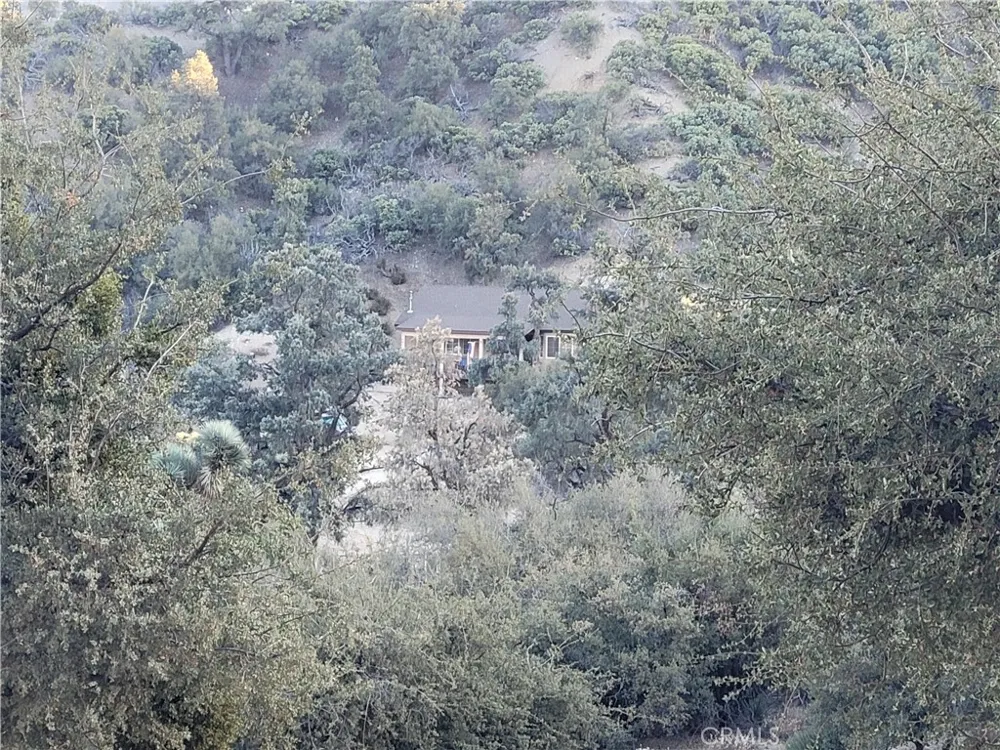 3131 Whispering Pines Rd Pinon Hills, CA 92397