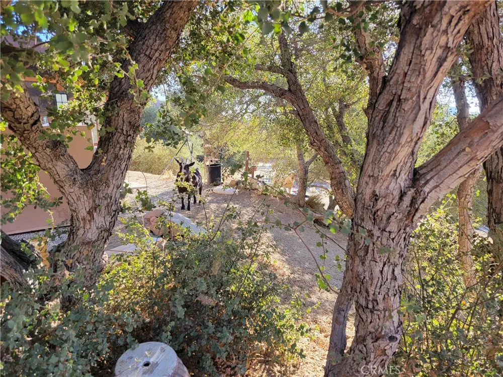 3131 Whispering Pines Rd Pinon Hills, CA 92397