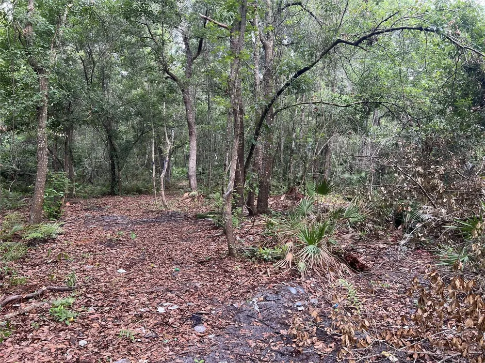 2322-2328 ROUSE ROAD Orlando, FL 32817
