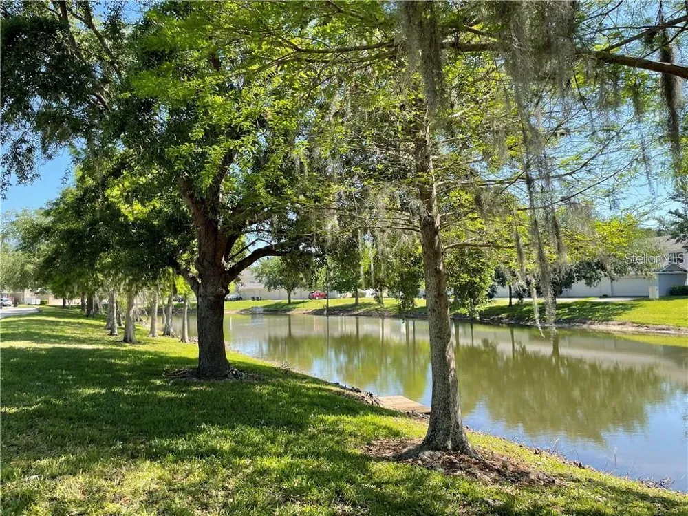 12355 LANGSTAFF DRIVE Windermere, FL 34786