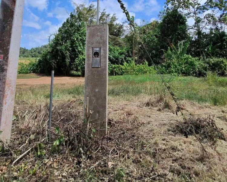 BO. DOMINGUITO, SECTOR LOS COLONOS, Arecibo, PR 00612
