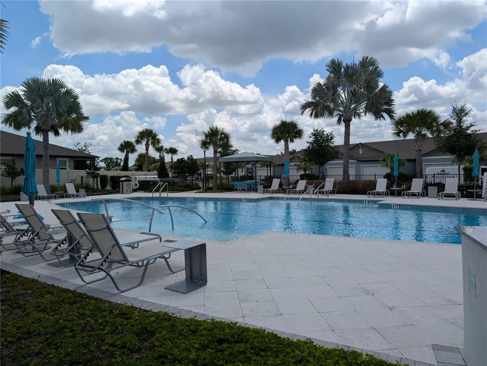 3794 MAXWELL PARK DRIVE Sun City Center, FL 33573