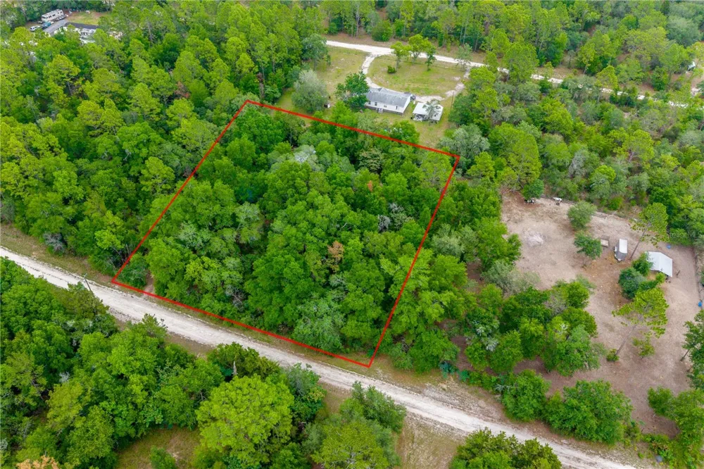 1671 NE 128TH AVENUE Williston, FL 32696