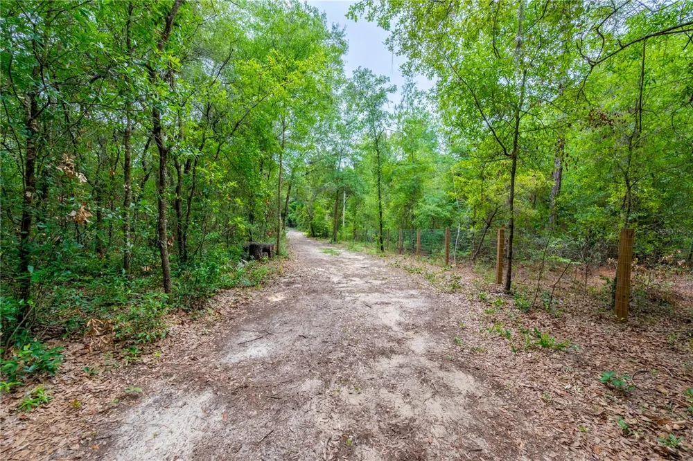 1671 NE 128TH AVENUE Williston, FL 32696