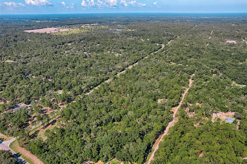 000 NE 82ND PLACE Bronson, FL 32621