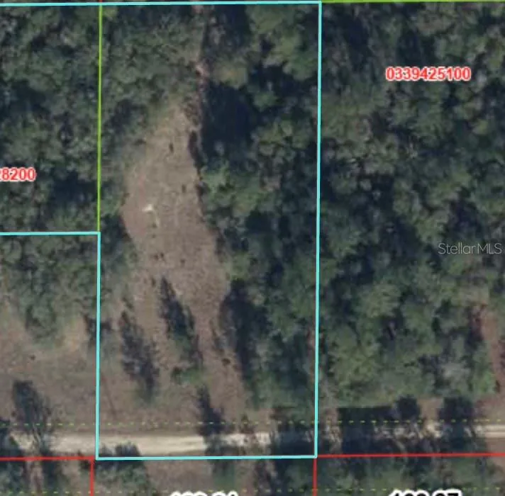 000 NE 82ND PLACE Bronson, FL 32621