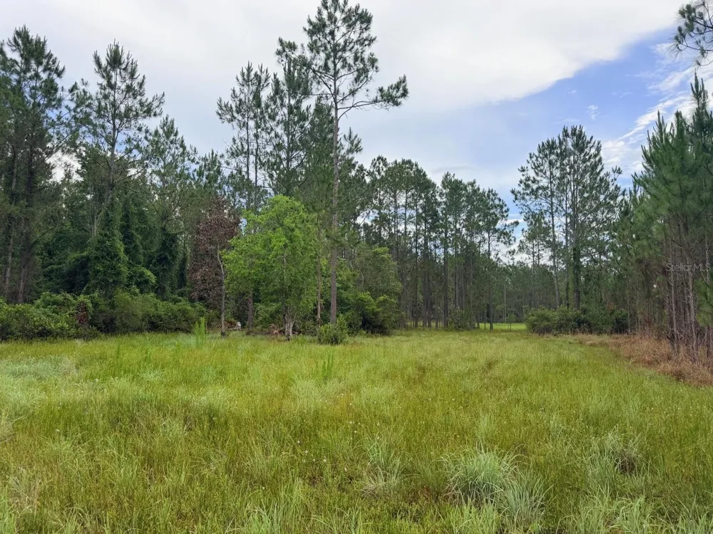 790 NW 42 TERRACE Chiefland, FL 32626