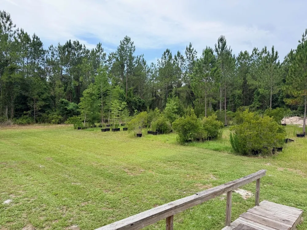 790 NW 42 TERRACE Chiefland, FL 32626