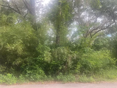 NE 32ND STREET