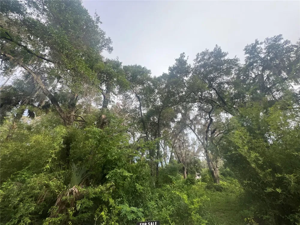 NE 32ND STREET Silver Springs, FL 34488