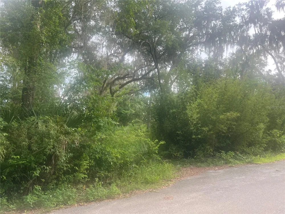 NE 32ND STREET Silver Springs, FL 34488