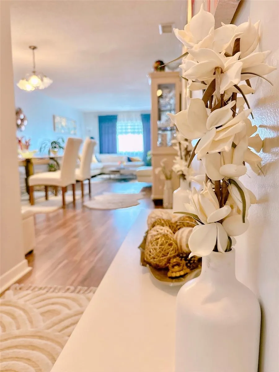 5357 81ST STREET #15 St Petersburg, FL 33709