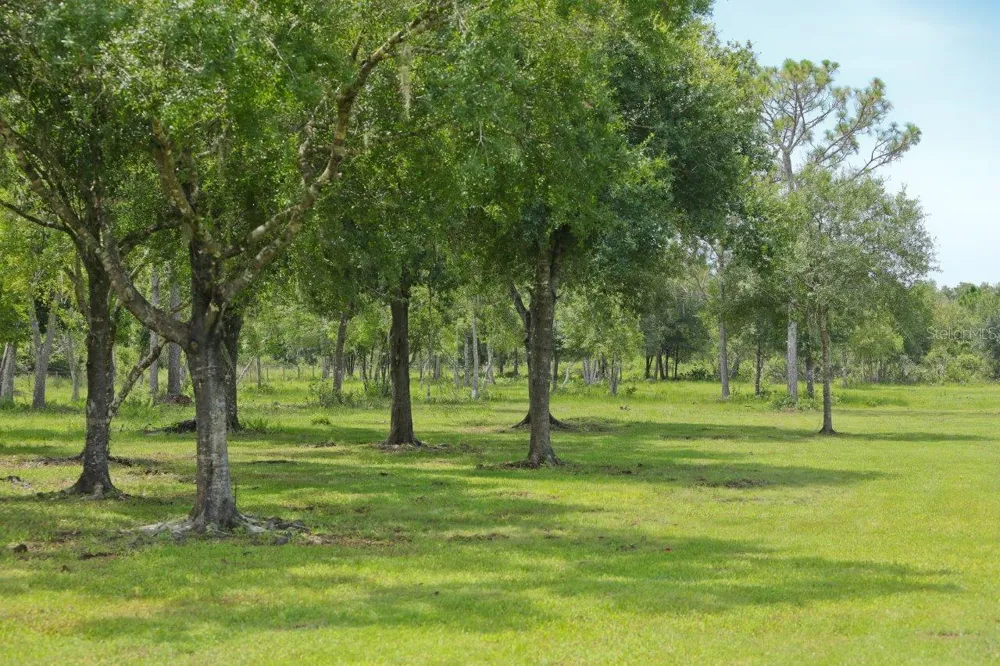 34452 SINGLETARY RD Myakka City, FL 34251