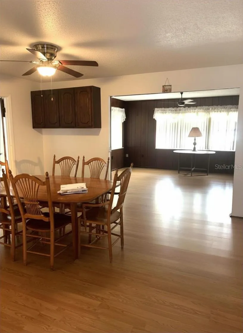 919 CR 482D Lake Panasoffkee, FL 33538