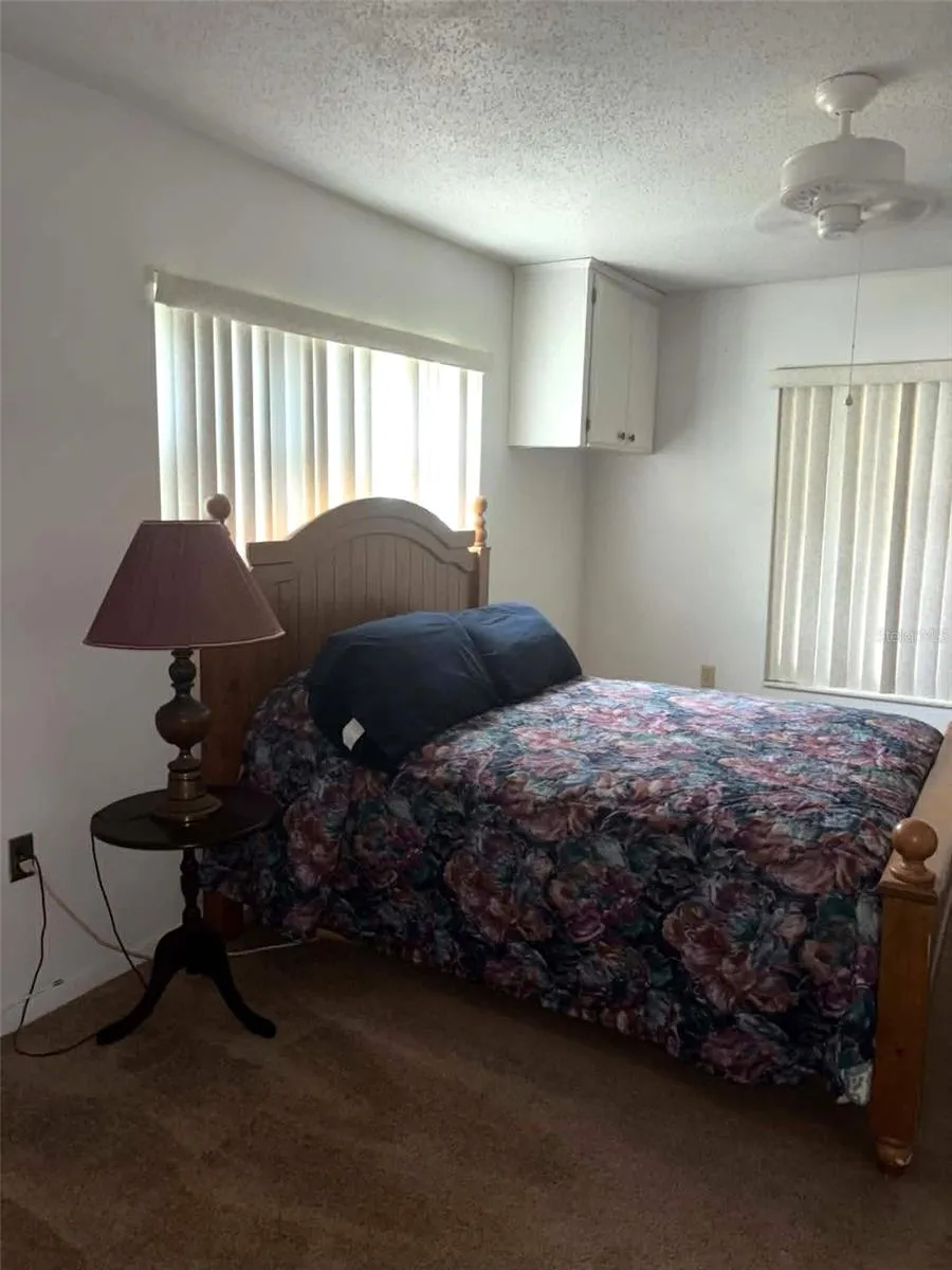 919 CR 482D Lake Panasoffkee, FL 33538
