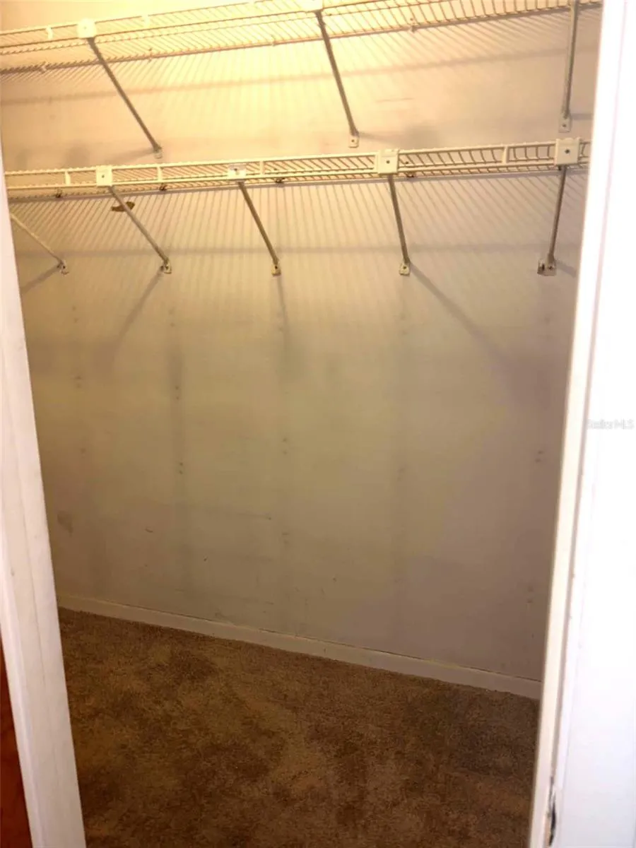 919 CR 482D Lake Panasoffkee, FL 33538