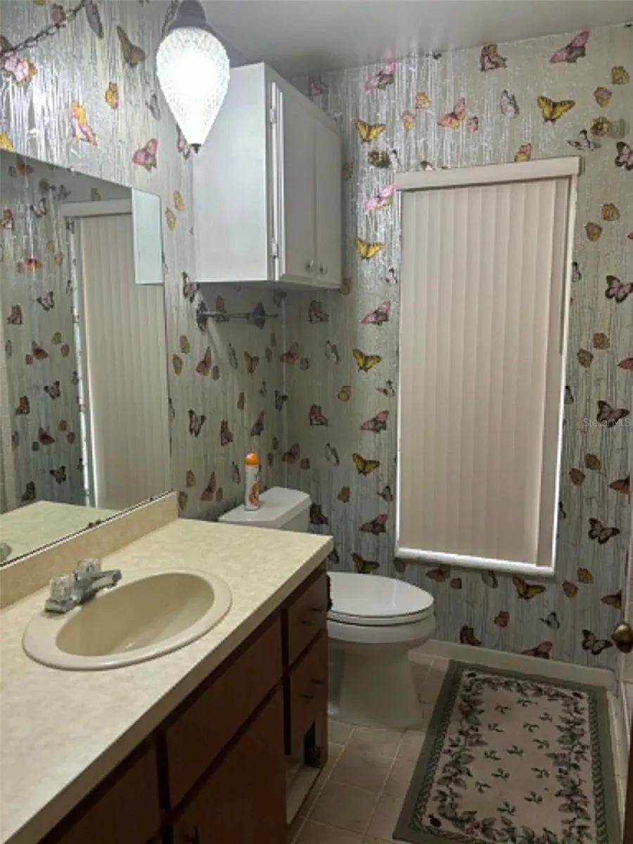 919 CR 482D Lake Panasoffkee, FL 33538