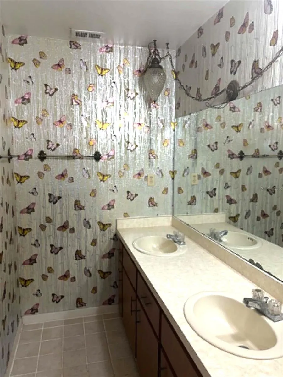 919 CR 482D Lake Panasoffkee, FL 33538