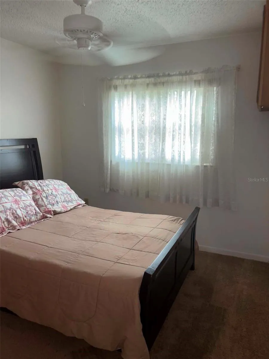 919 CR 482D Lake Panasoffkee, FL 33538