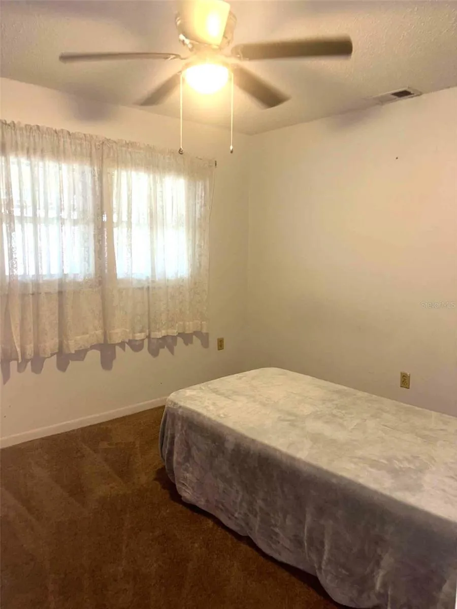 919 CR 482D Lake Panasoffkee, FL 33538