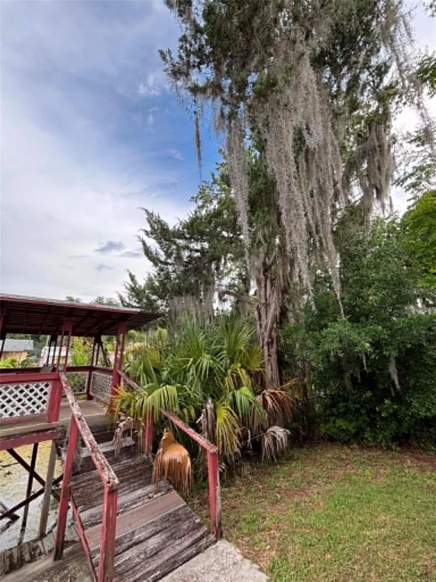919 CR 482D Lake Panasoffkee, FL 33538