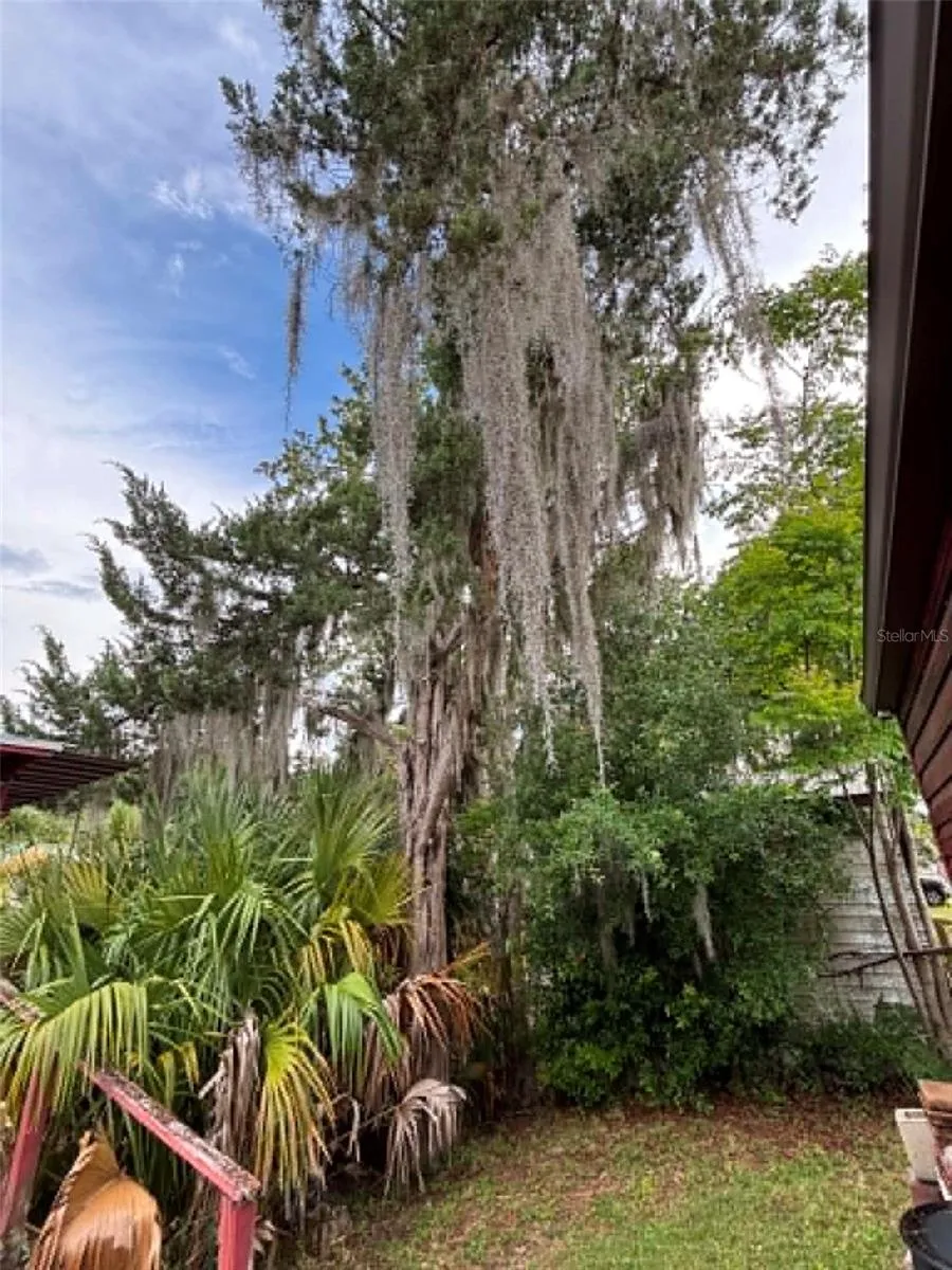 919 CR 482D Lake Panasoffkee, FL 33538
