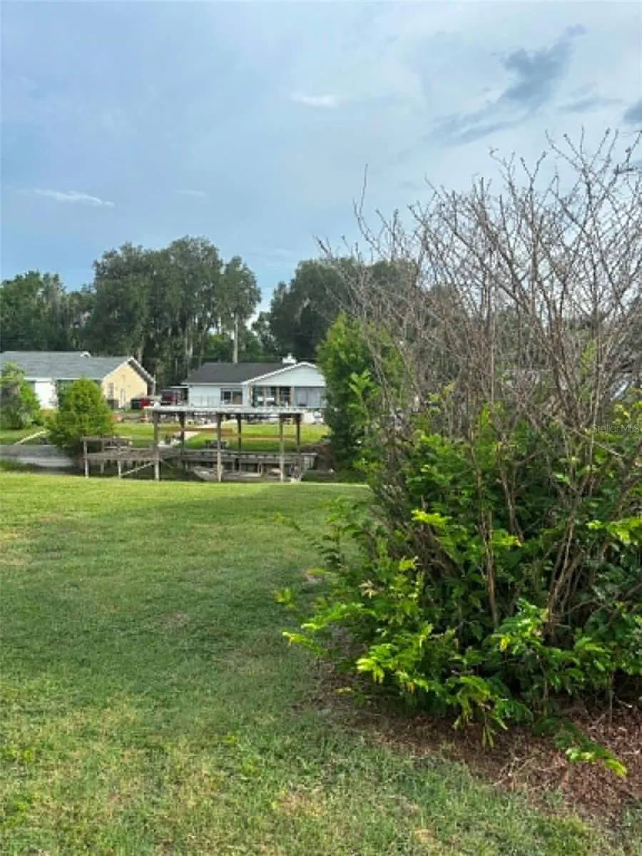 919 CR 482D Lake Panasoffkee, FL 33538