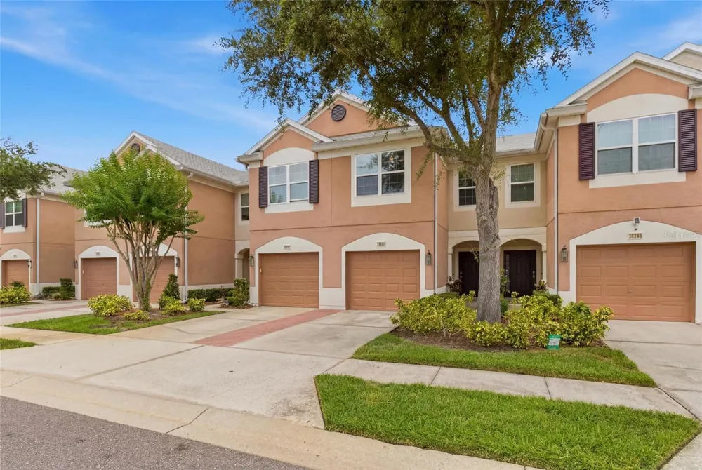 26531 CHIMNEY SPIRE LANE Wesley Chapel, FL 33544