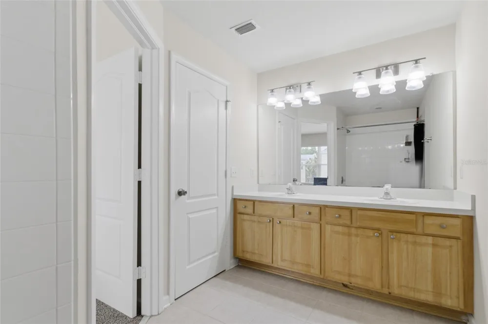 26531 CHIMNEY SPIRE LANE Wesley Chapel, FL 33544