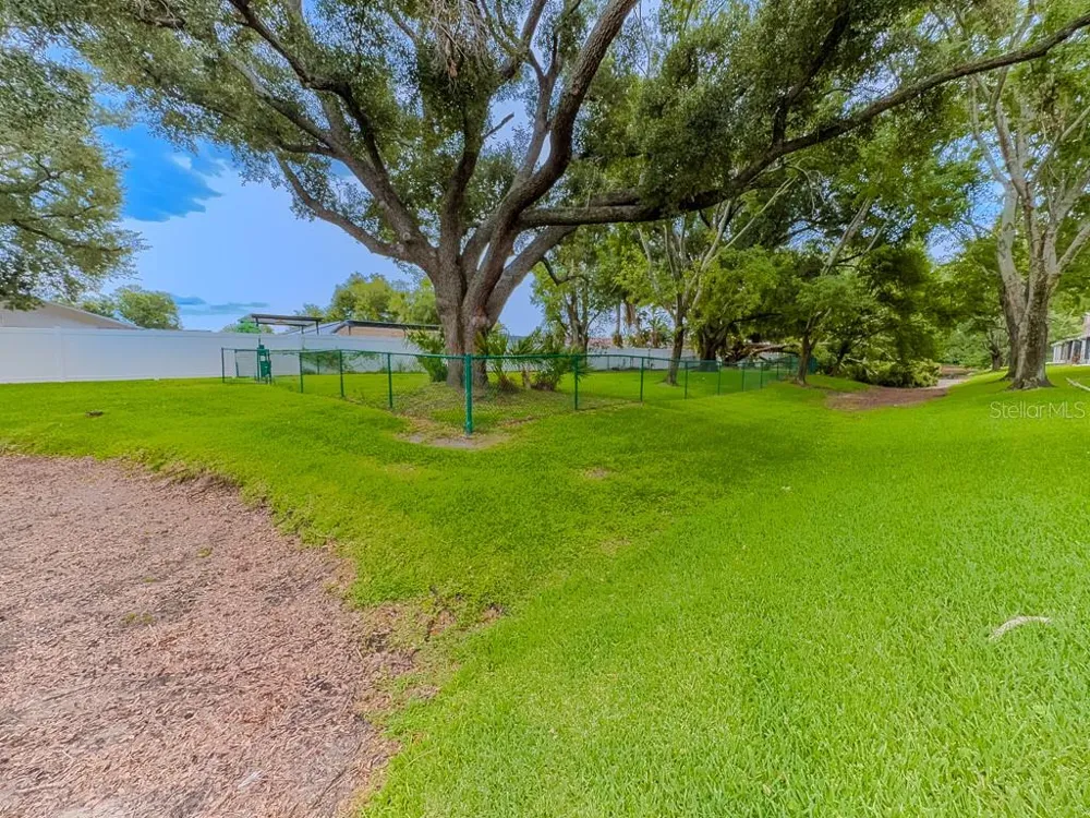 8505 SANDY BEACH STREET Tampa, FL 33634