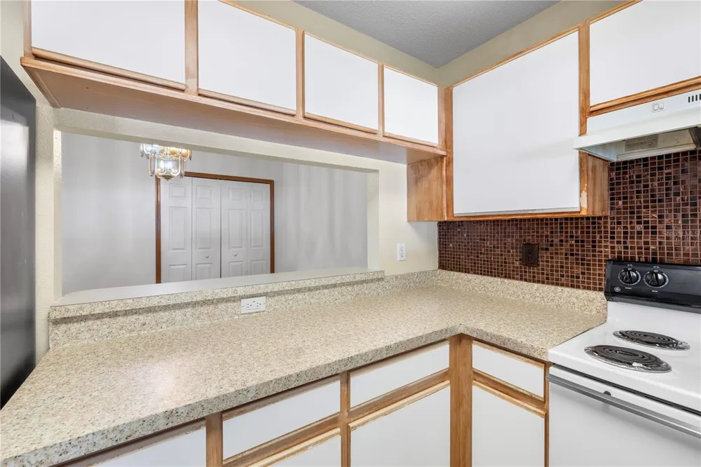 1907 FLUORSHIRE DRIVE Brandon, FL 33511