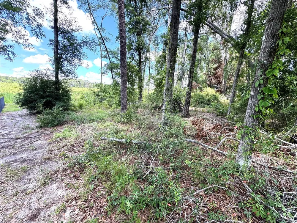 571 NW ZACK DRIVE Lake City, FL 32055