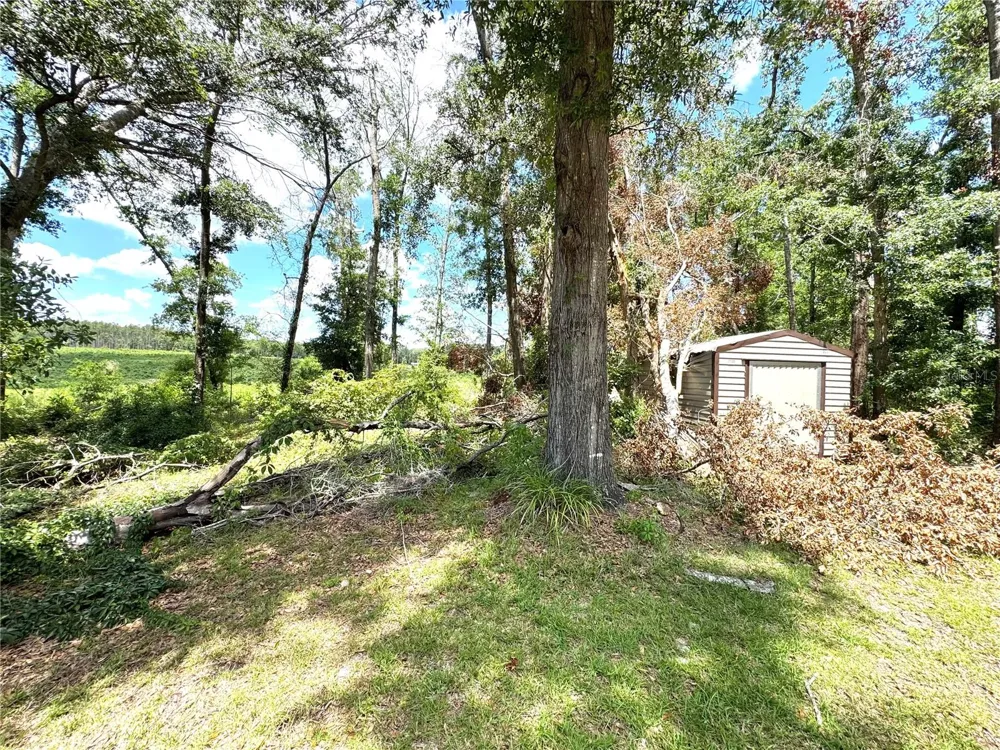 571 NW ZACK DRIVE Lake City, FL 32055