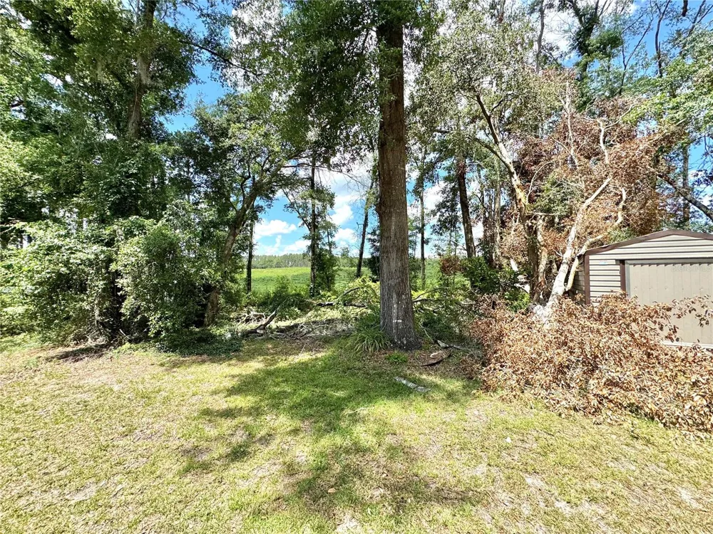571 NW ZACK DRIVE Lake City, FL 32055