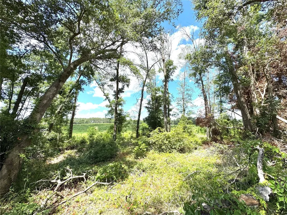 571 NW ZACK DRIVE Lake City, FL 32055