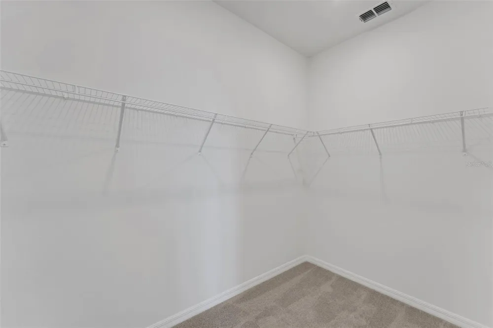 16930 SQUIRREL BRANCH LANE Alva, FL 33920