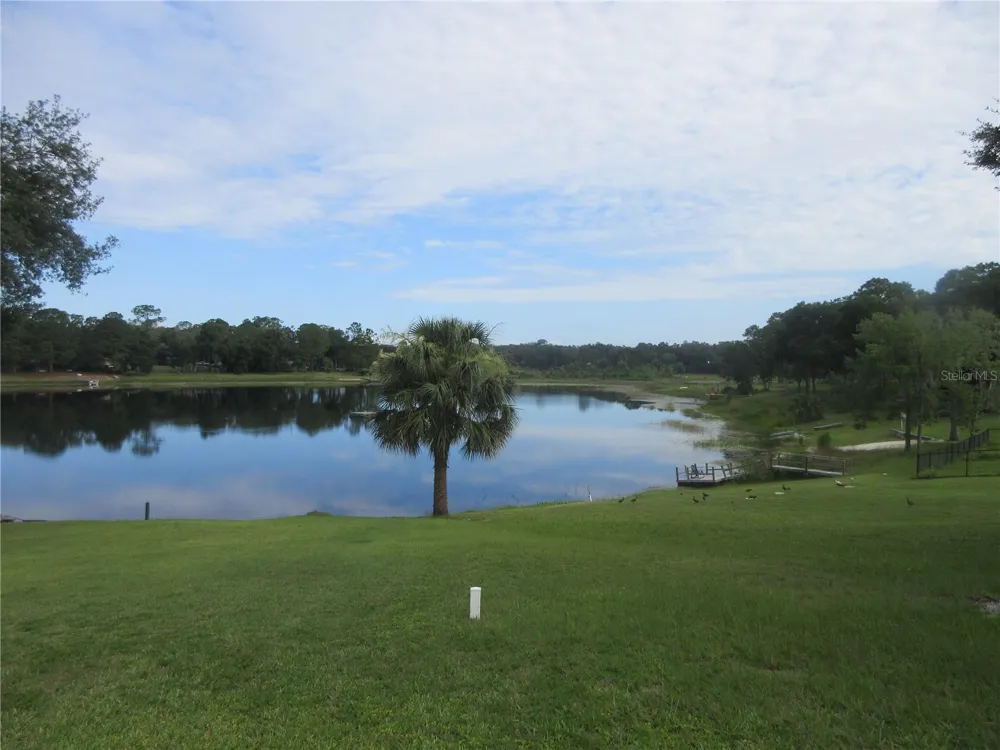 16849 SE 59TH PLACE Ocklawaha, FL 32179