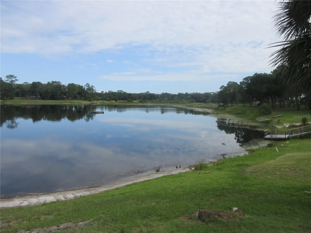 16849 SE 59TH PLACE Ocklawaha, FL 32179