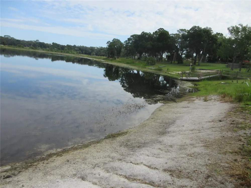 16849 SE 59TH PLACE Ocklawaha, FL 32179