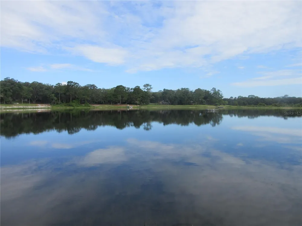 16849 SE 59TH PLACE Ocklawaha, FL 32179