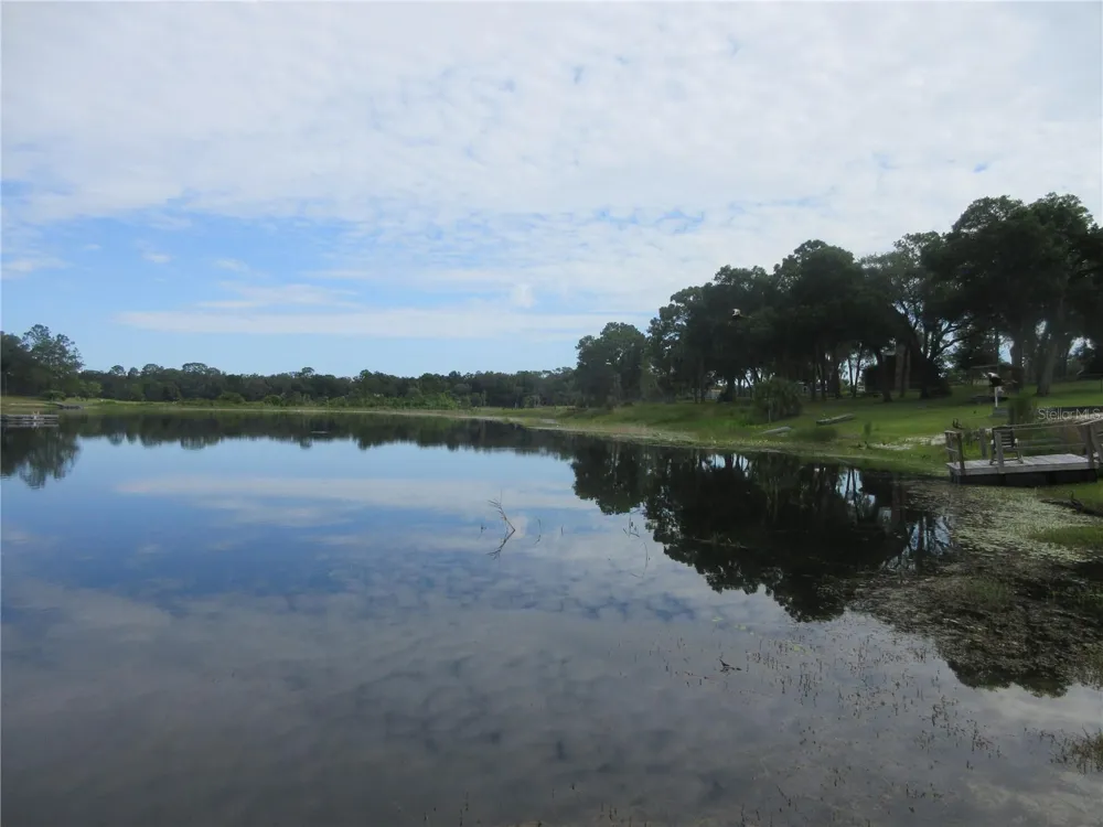 16849 SE 59TH PLACE Ocklawaha, FL 32179