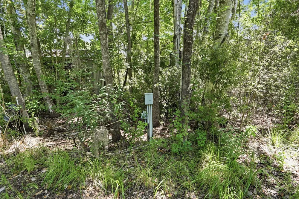 561 SE 28TH STREET Melrose, FL 32666