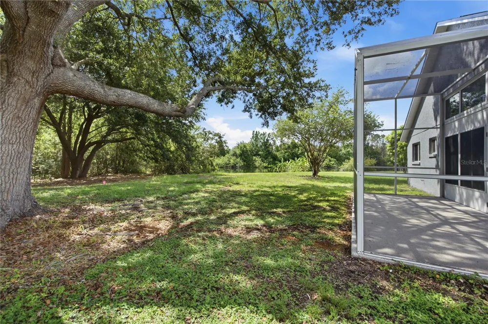 6003 CHELLAS COURT Lutz, FL 33558