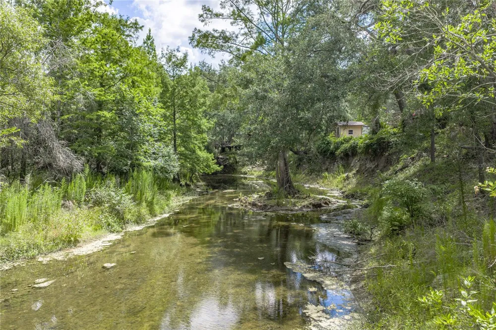 33065 CEDONIA ROAD Dade City, FL 33523