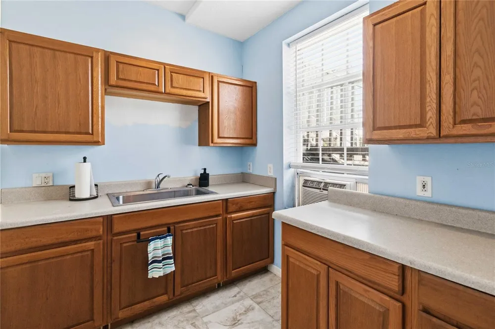 31243 BEAR POND DRIVE Sorrento, FL 32776