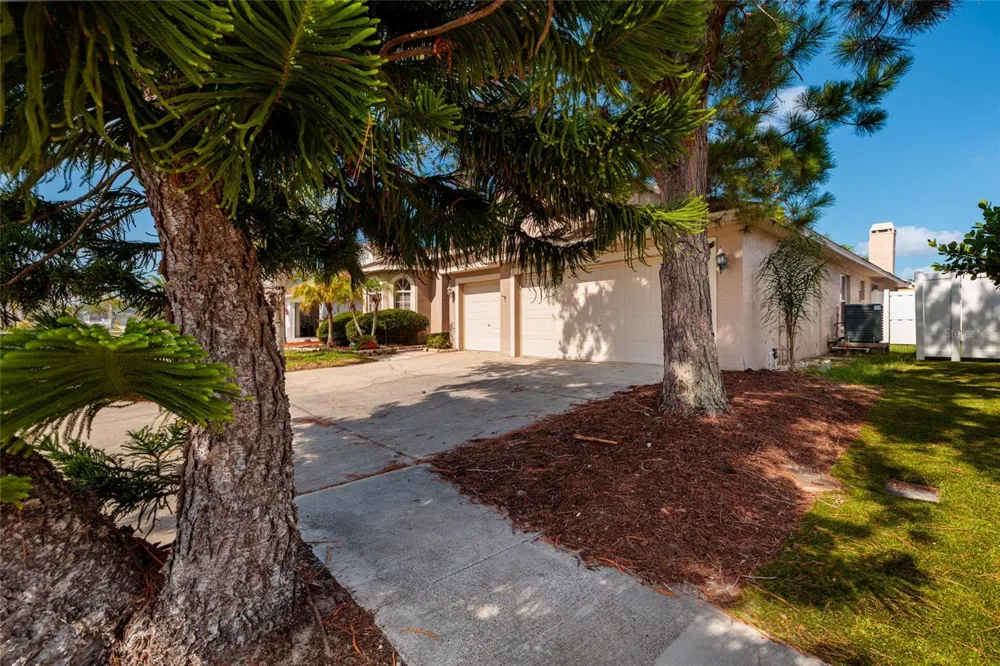 1805 WOOD BEND STREET Tarpon Springs, FL 34689
