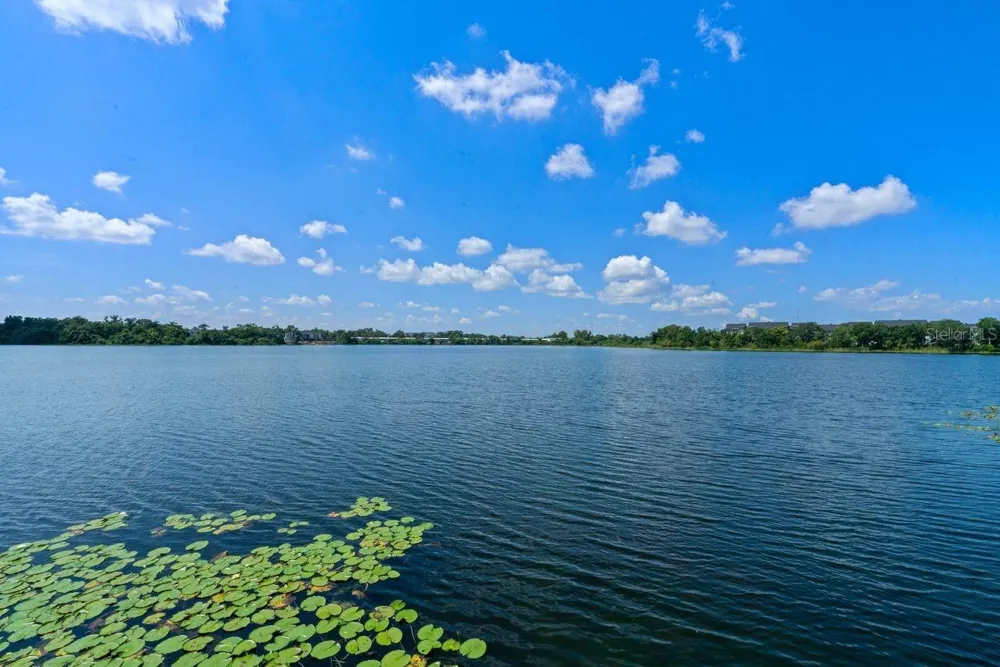 1440 LAKE SHADOW CIRCLE #8201 Maitland, FL 32751