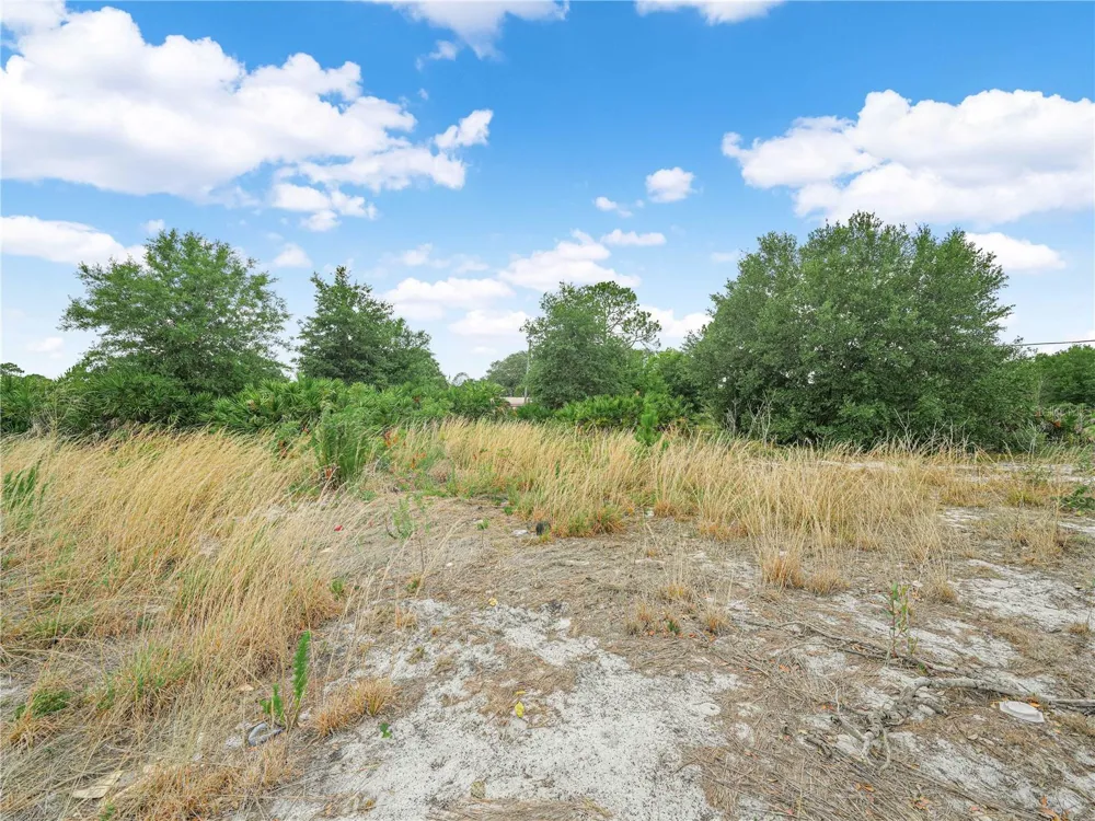 OAKRIDGE DRIVE Frostproof, FL 33843